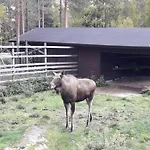 In With Lapland * Ranua