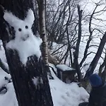 In With Lapland *