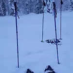 Chalet In With Lapland
