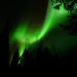 Chalet In With Lapland Ranua