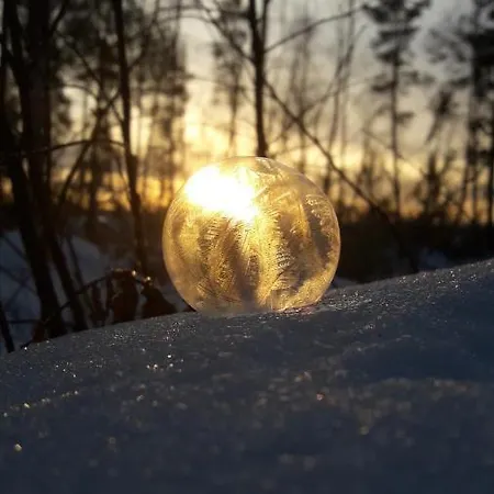 In With Lapland * Ranua