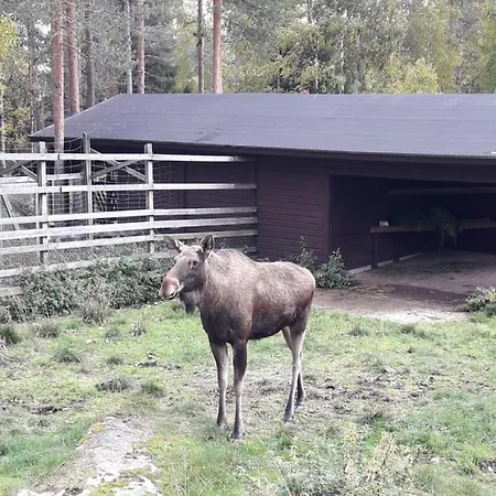 In With Lapland * Ranua