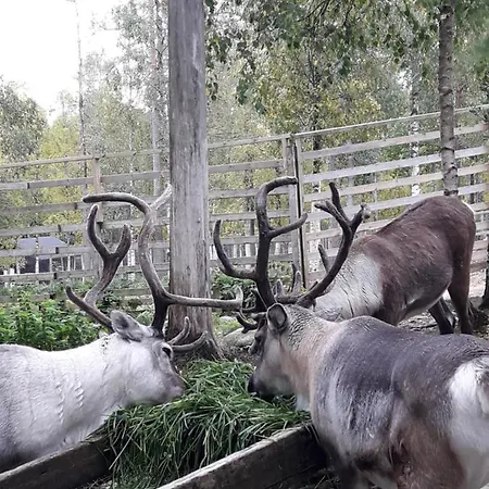 בקתה In With Lapland ראנואה