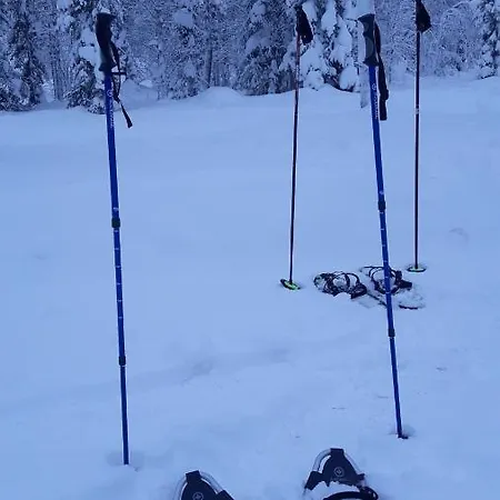 Chalet In With Lapland
