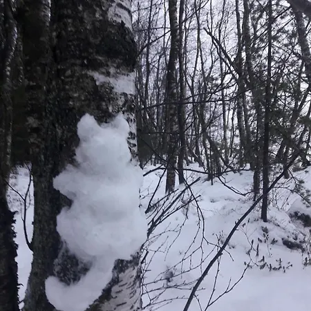 In With Lapland בקתה *