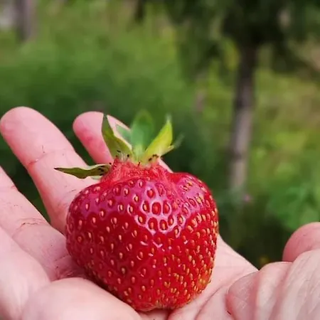 In With Lapland Шале Рануа