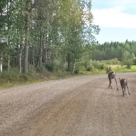 In With Lapland Шале