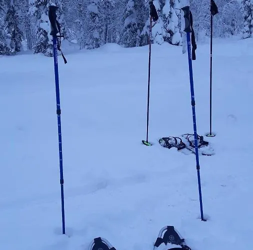 Horská chata In With Lapland