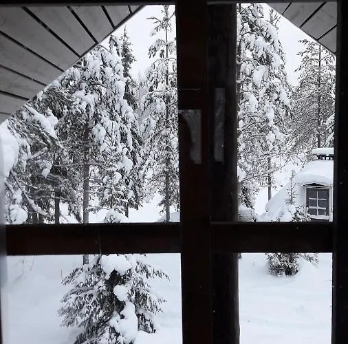 In With Lapland Ranua