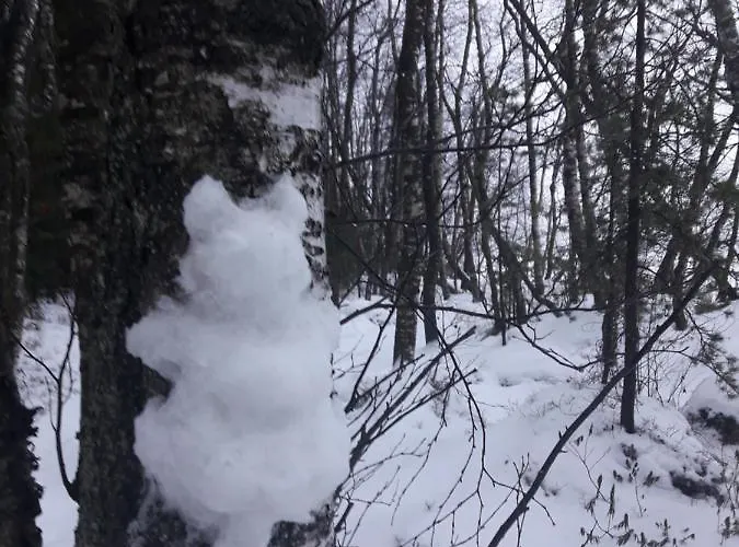 In With Lapland Horská chata *