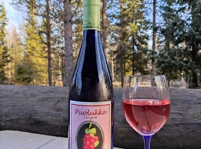 In With Lapland Horská chata *