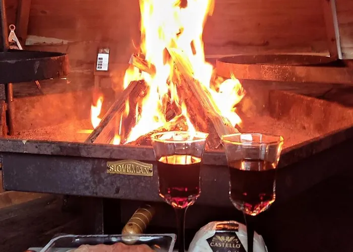 In With Lapland Ranua