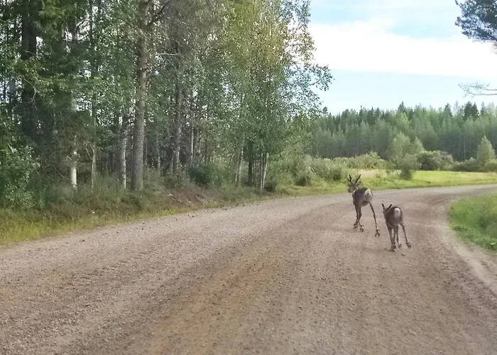 In With Lapland Horská chata